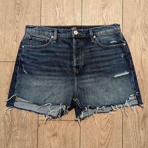NEW Hudson Shorts Women's 31 Lori Ripped Rips Fray Hem Denim Jean